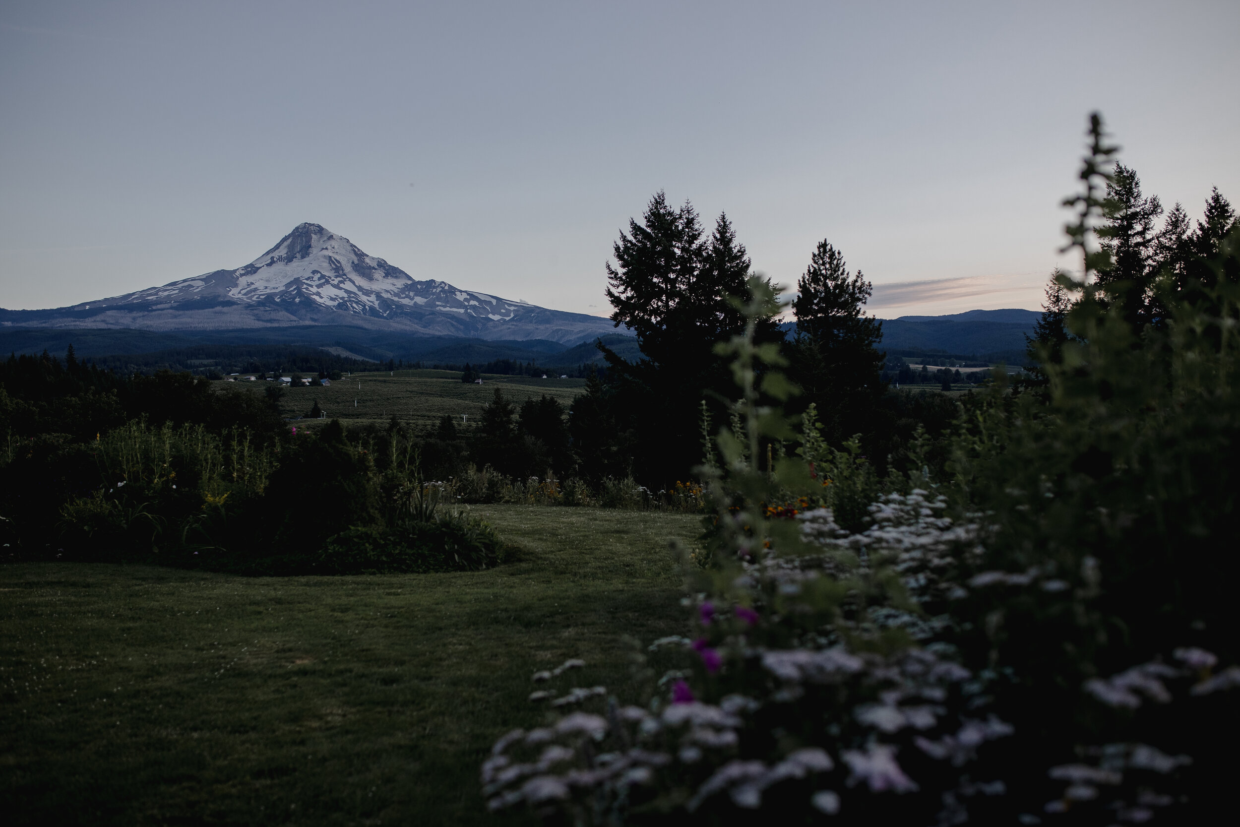 Becky & David Mt. Hood Oregon Wedding-566.jpg