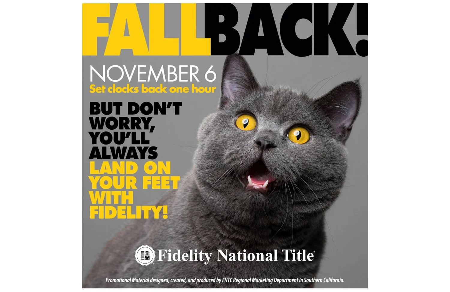 Social Media_Single Short Fall Back 2022 Cat.jpg