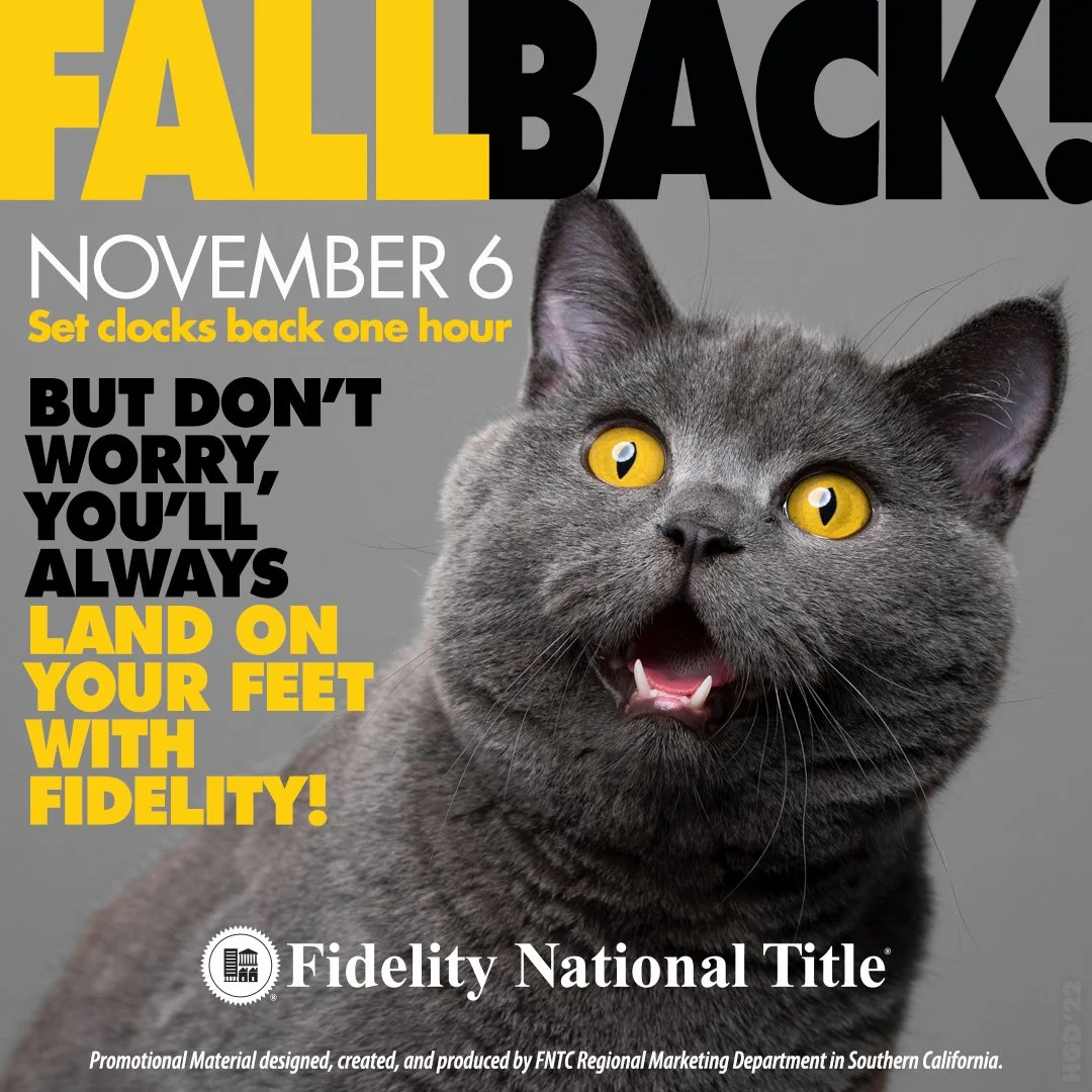 Fall Back 2022_OMG A CAT.jpg