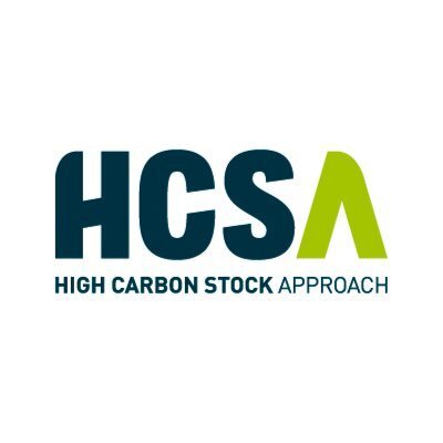 High carbon stock approach