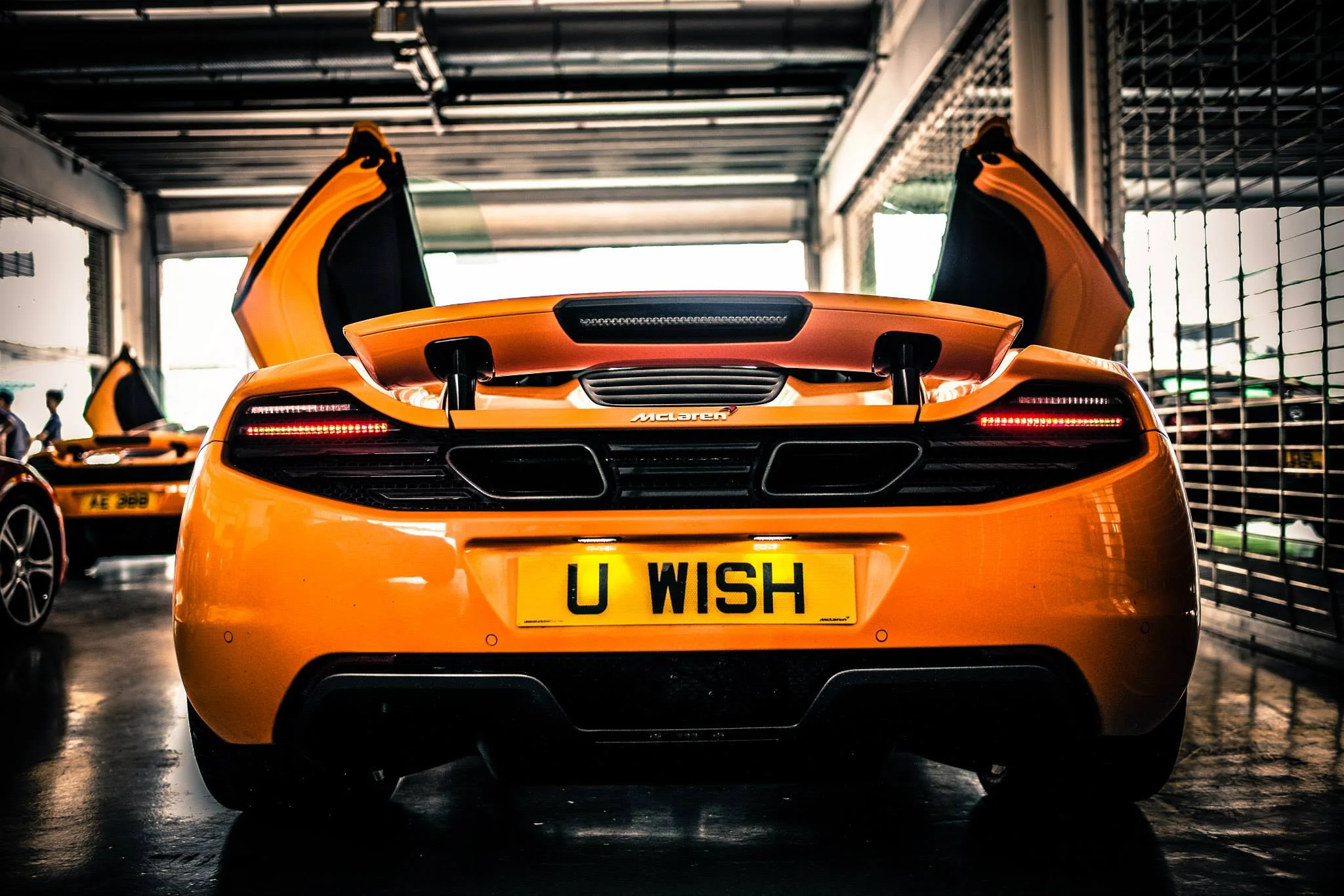 10661681_1121700017848_1986159498009581072_o.jpg