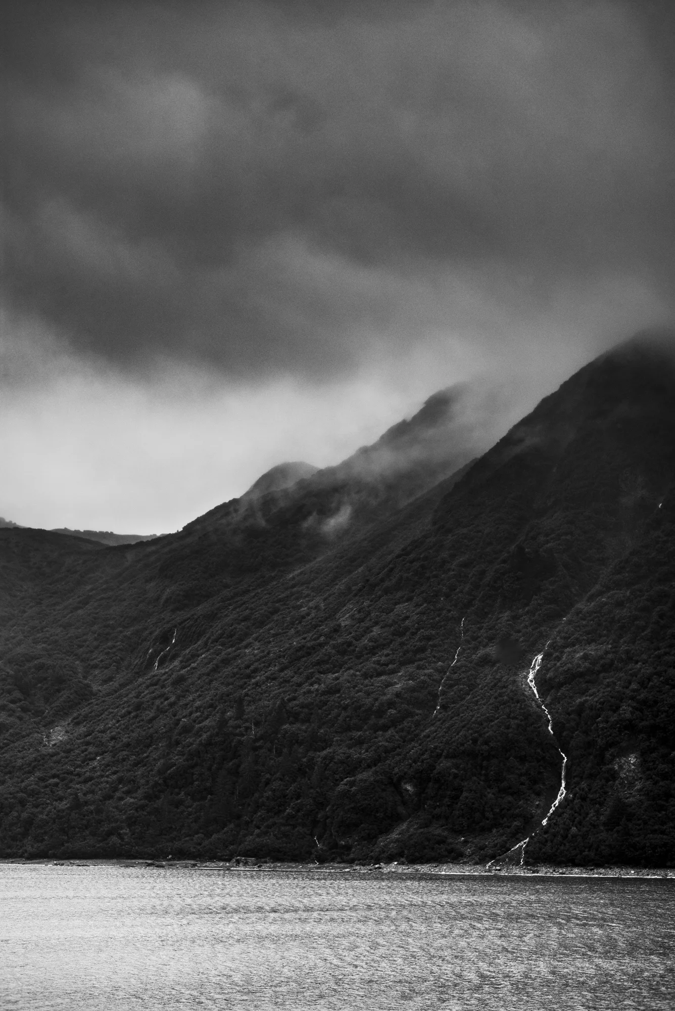L1003516.jpg