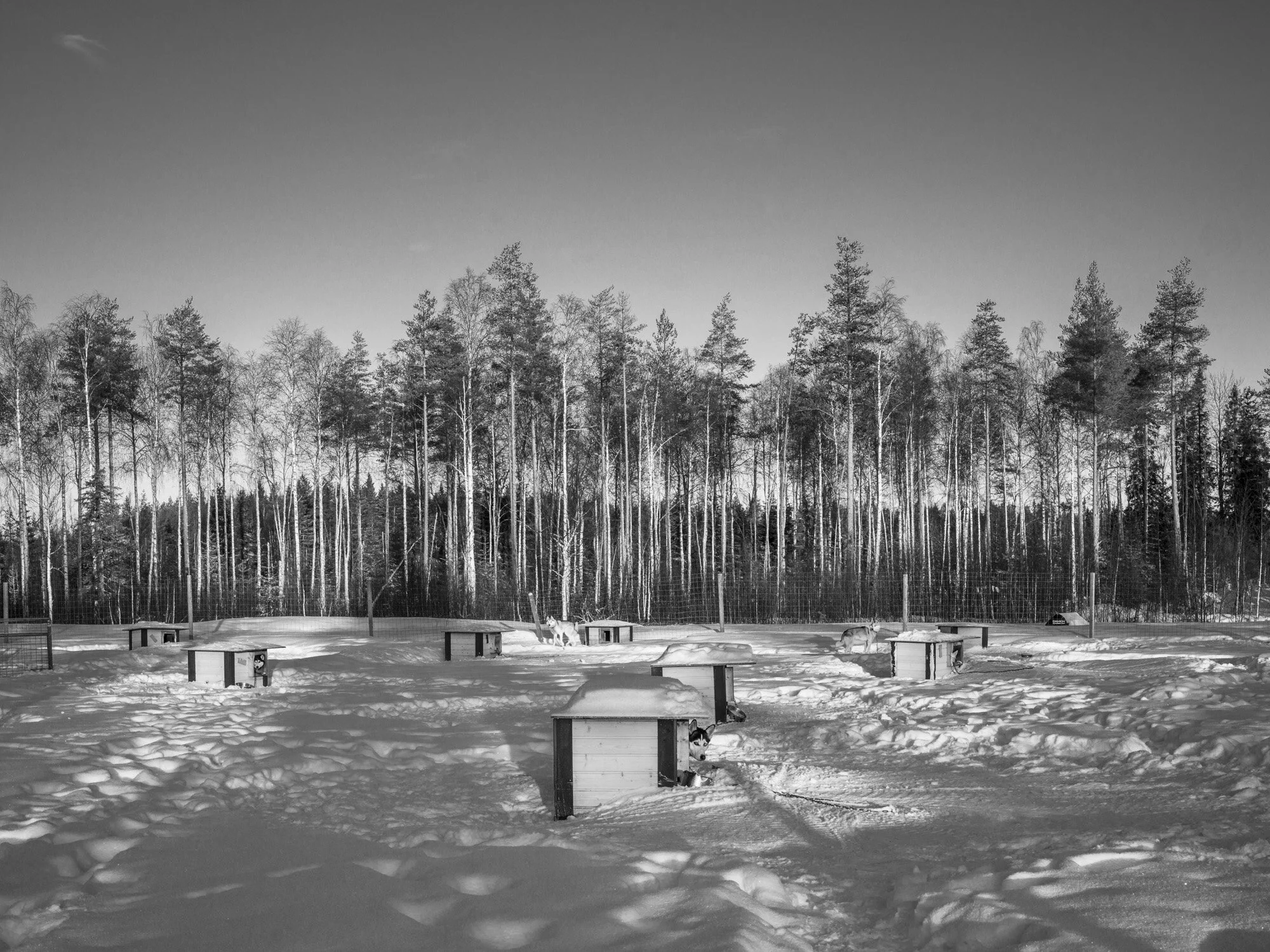 B0005145.jpg