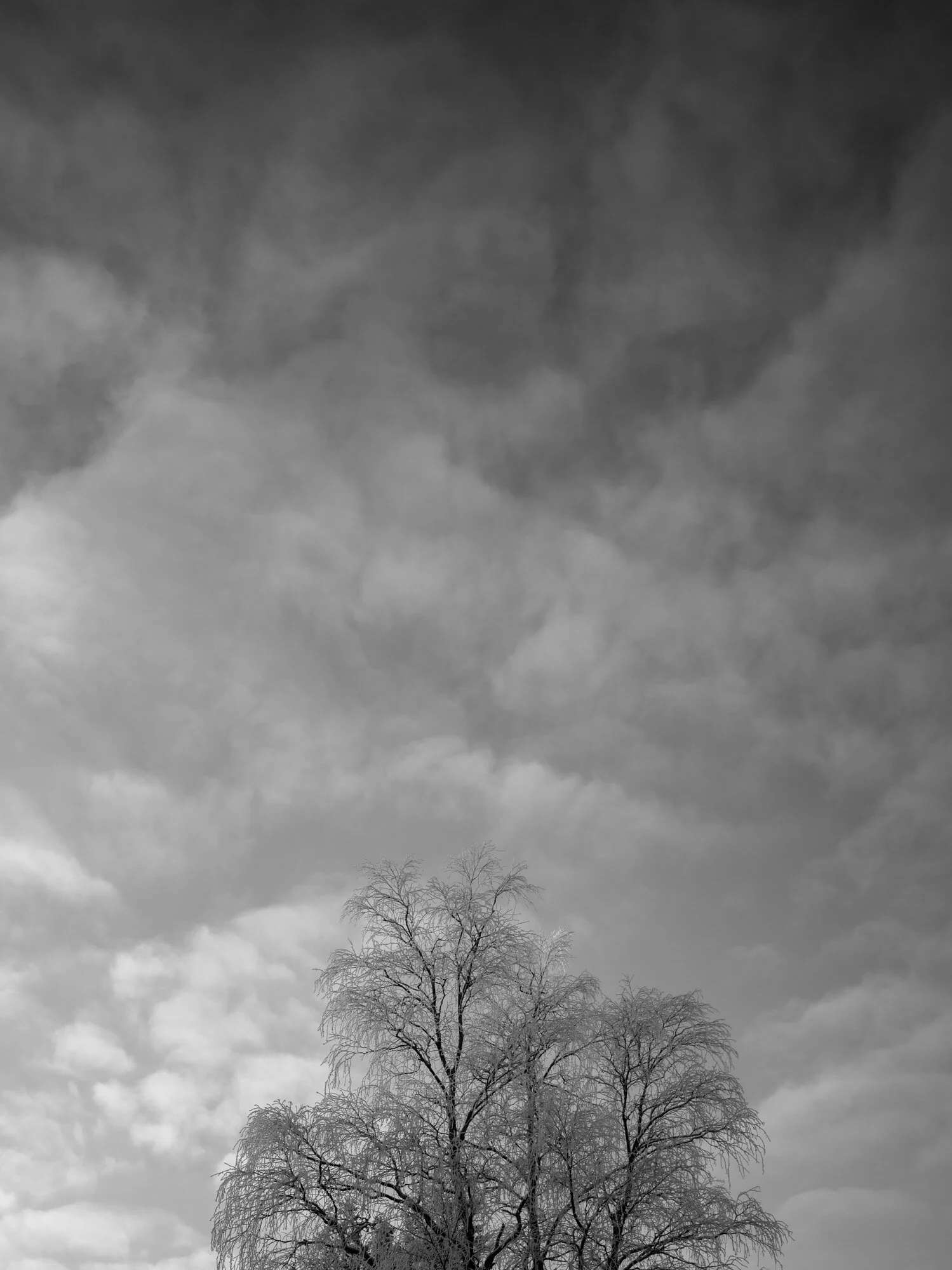 B0005276.jpg