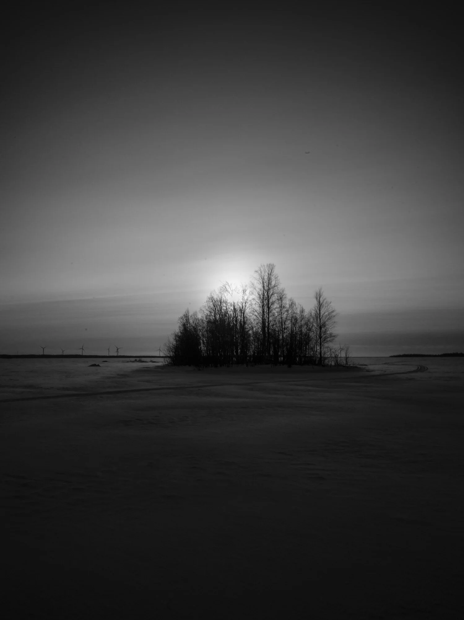 B0005348.jpg