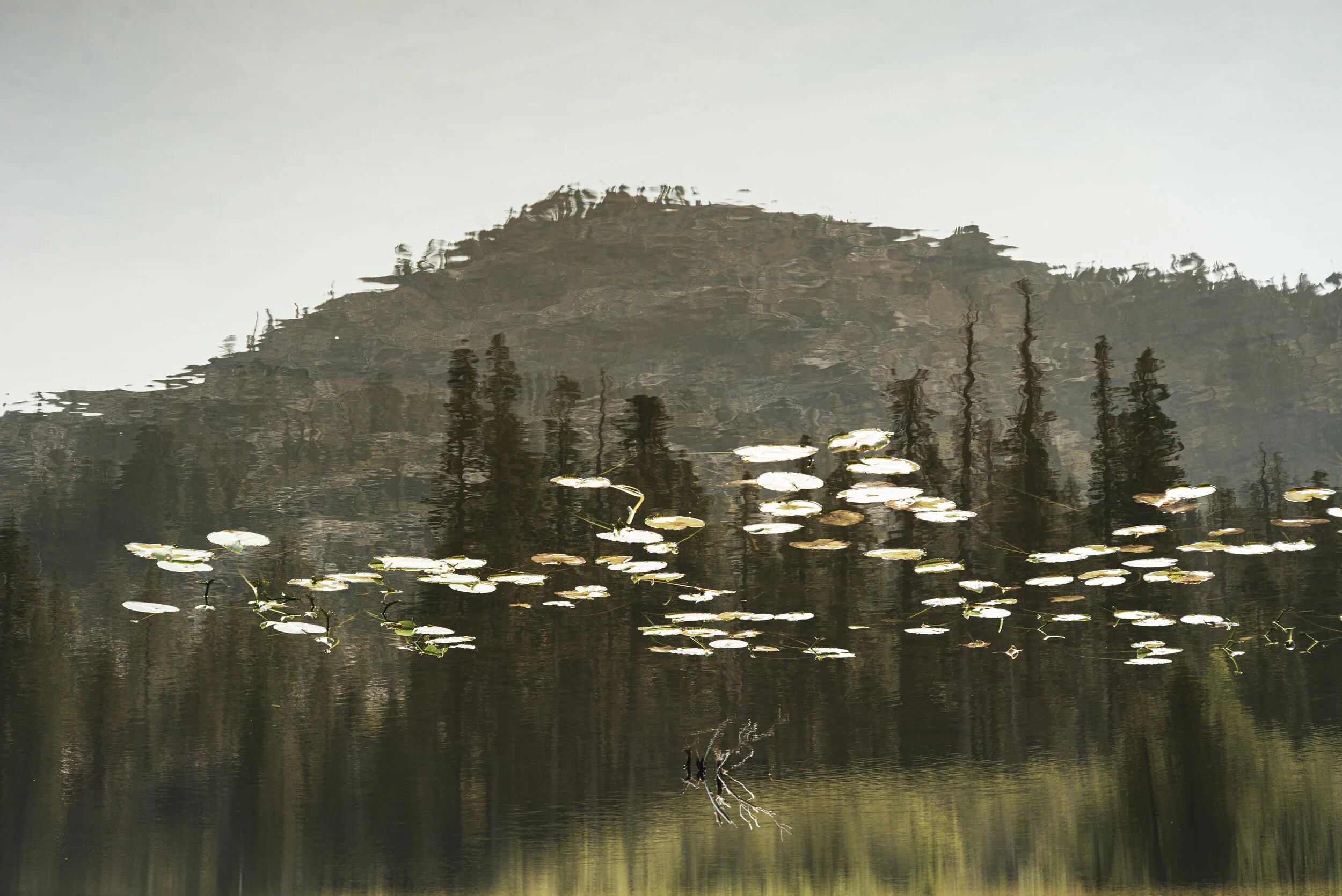 L1000018.jpg