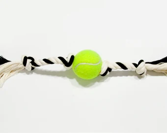 TUG OF WAR TOURNAMENT