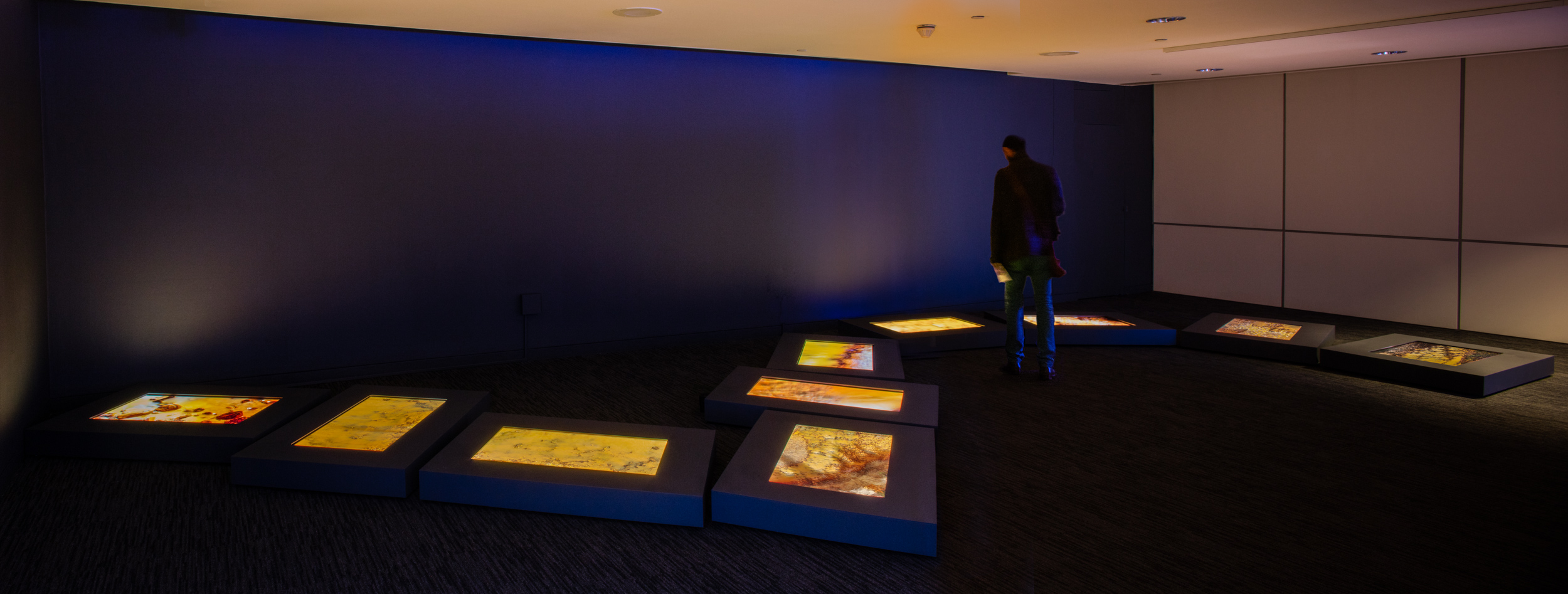 Golden Prospects: River (Yerba Buena Center of the Arts installation view)