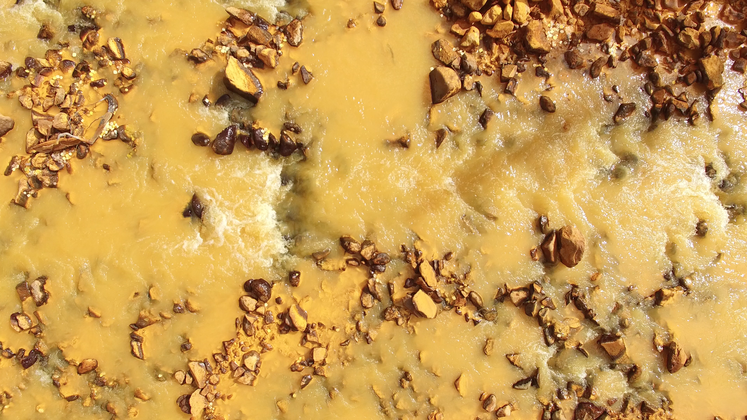 Golden Prospects: River (video still)