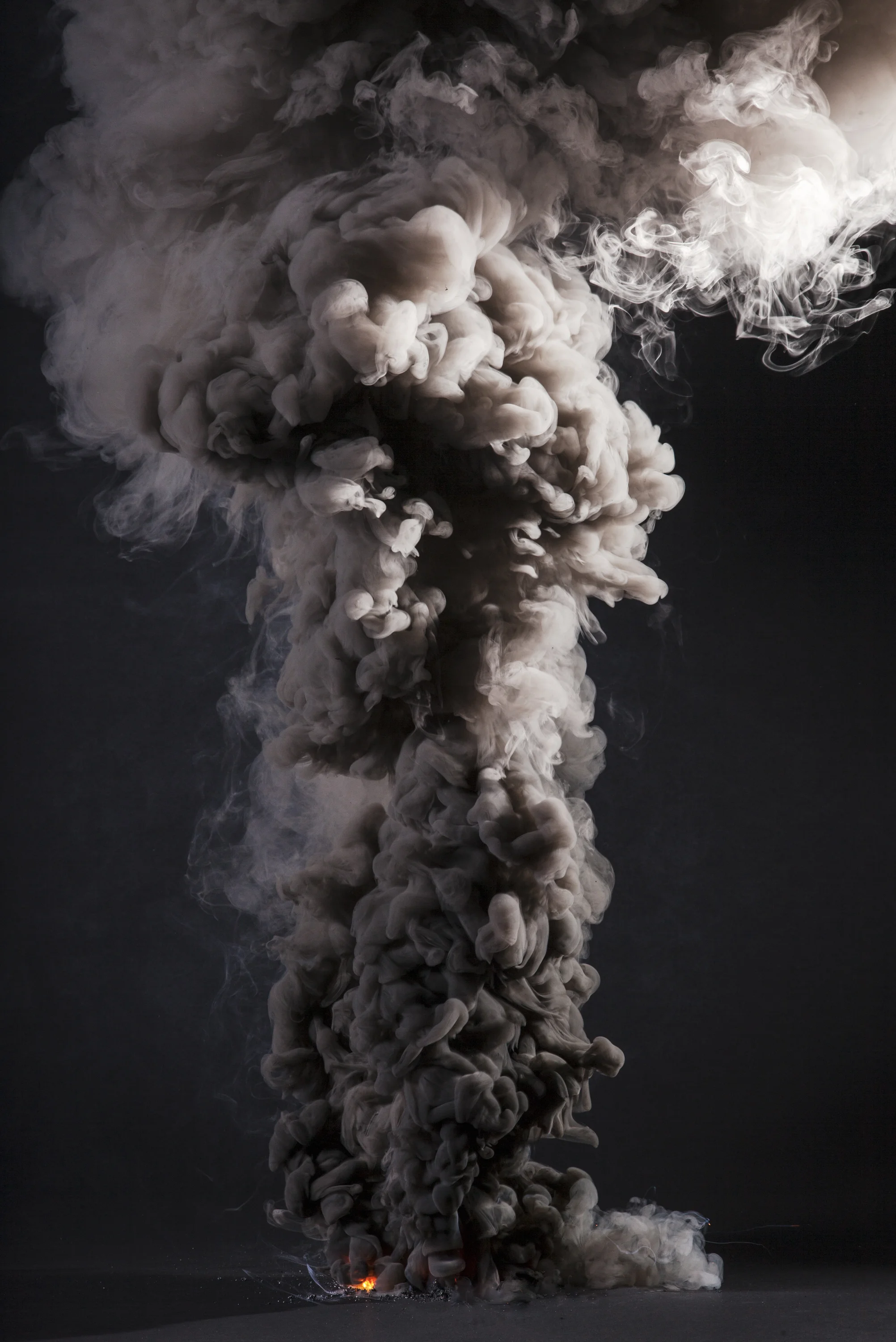 Controlled Burn VI