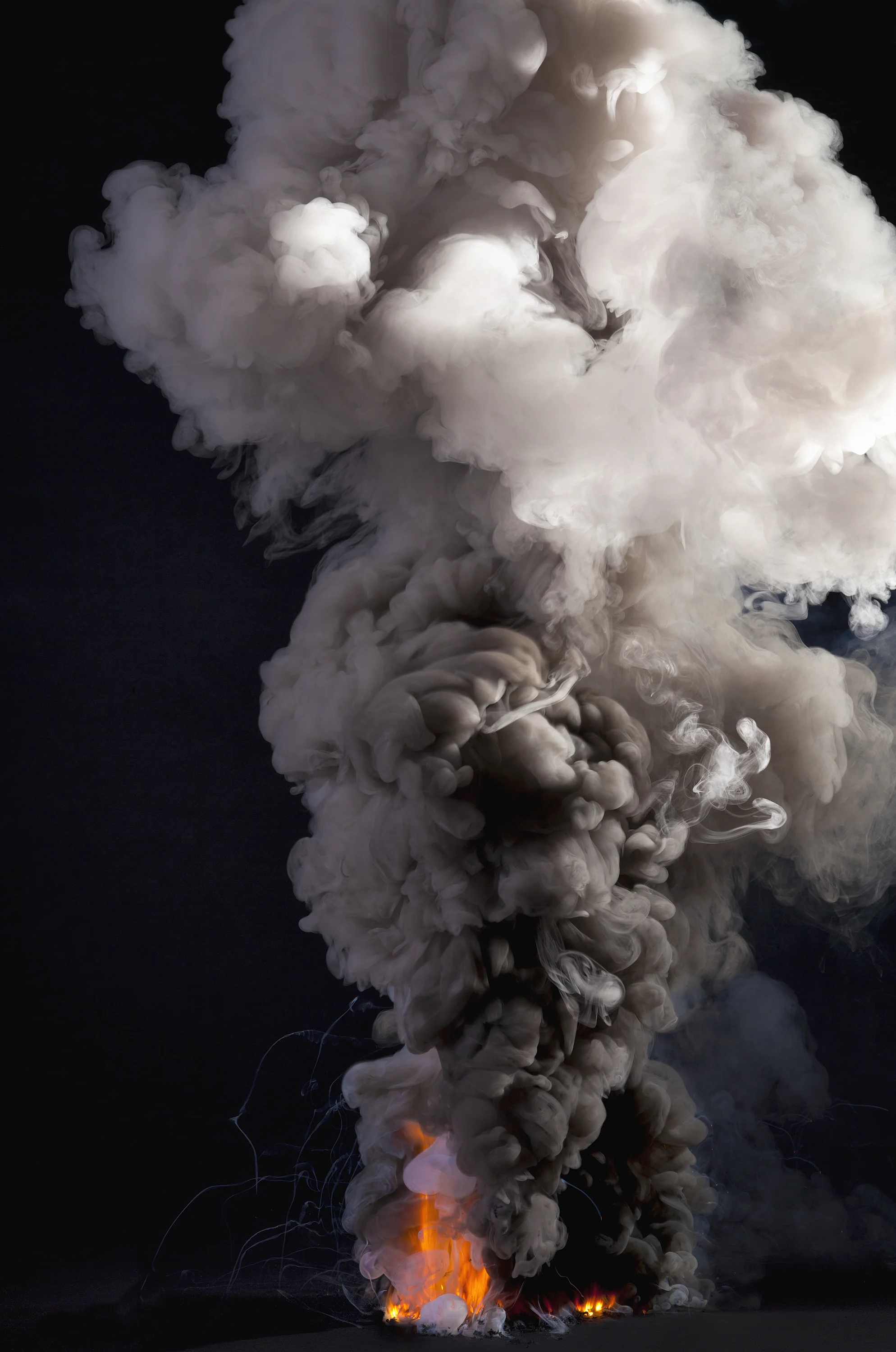Controlled Burn VII
