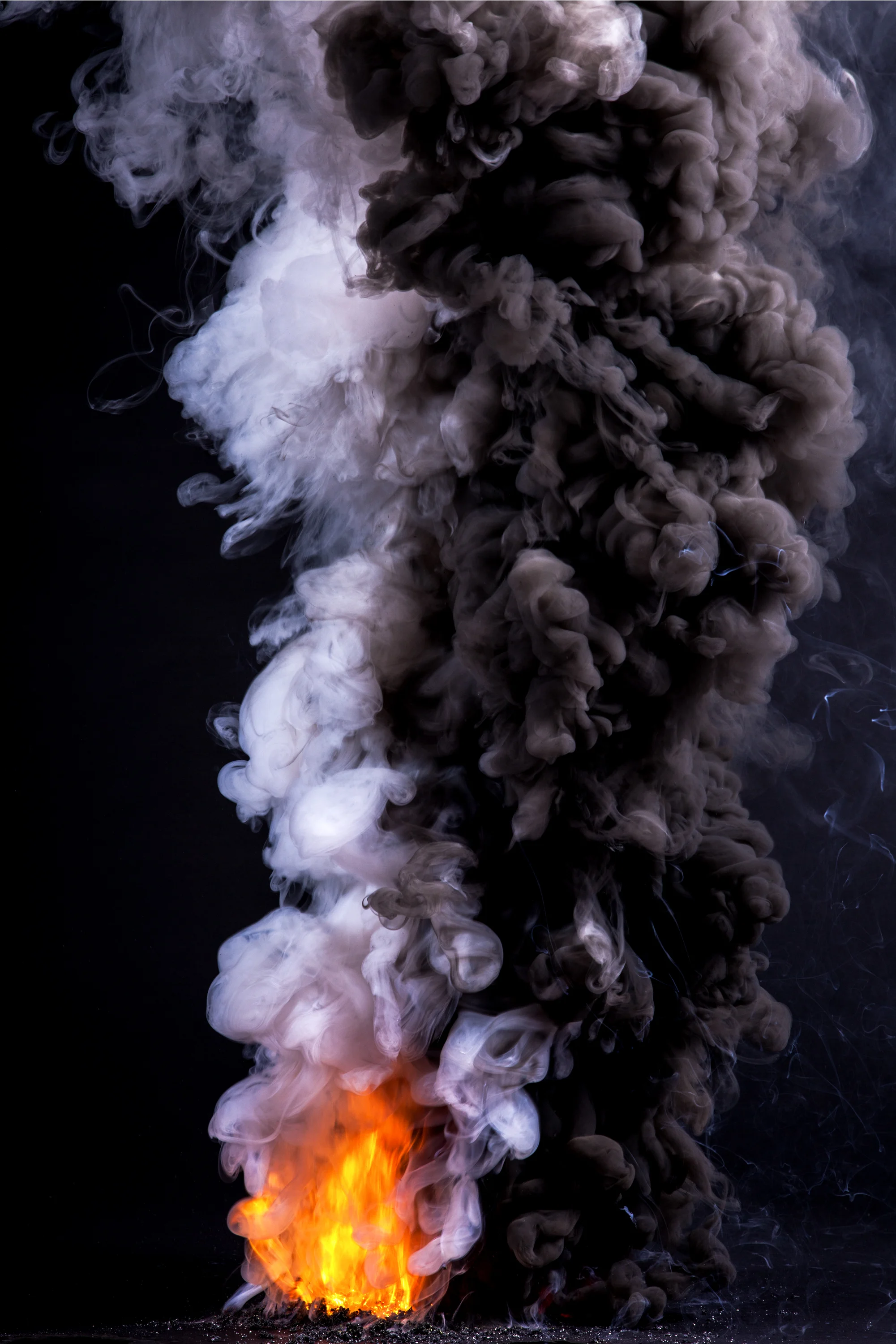 Controlled Burn IX