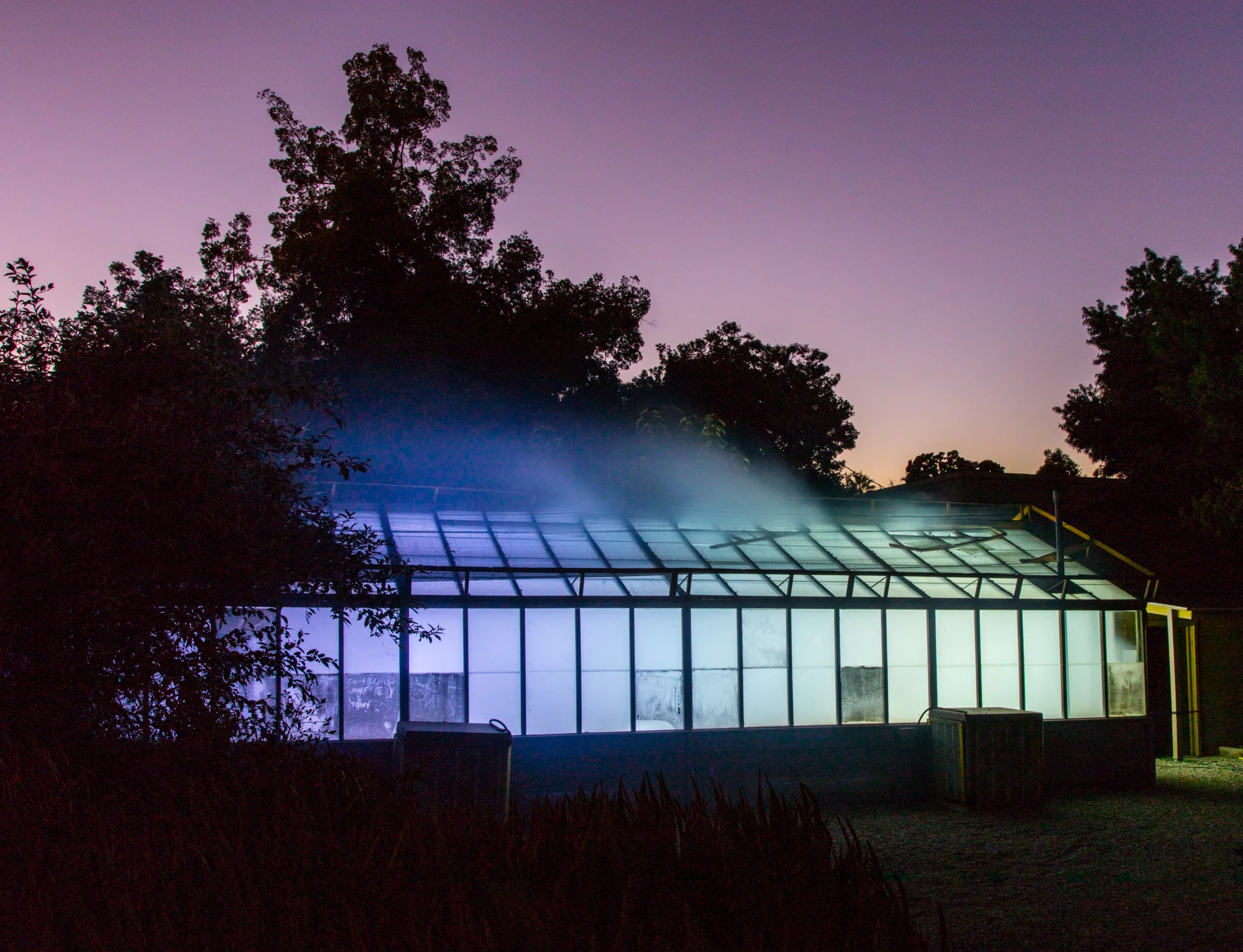 SMOG-HOUSE-2.jpg