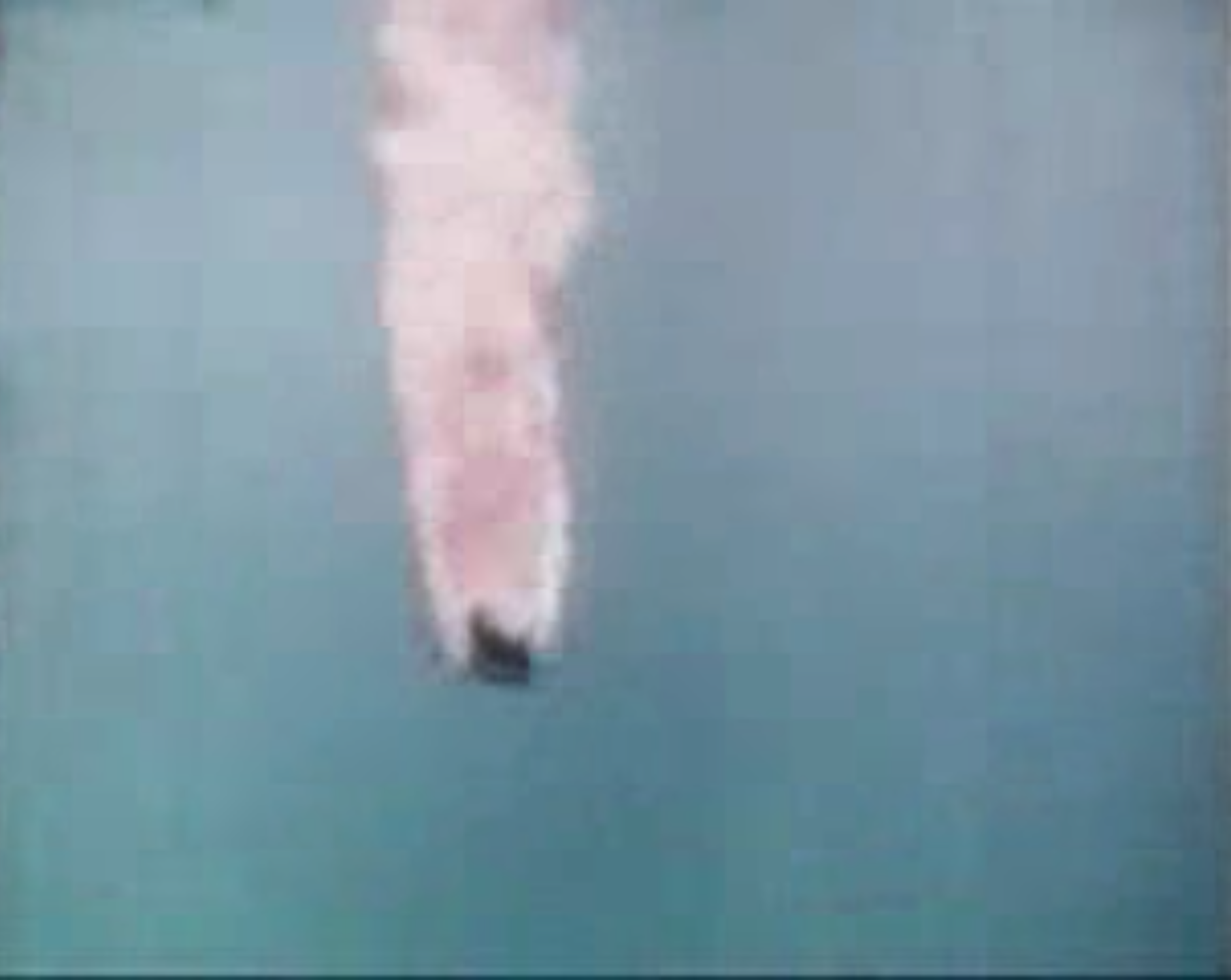 Launch Failure (video still)