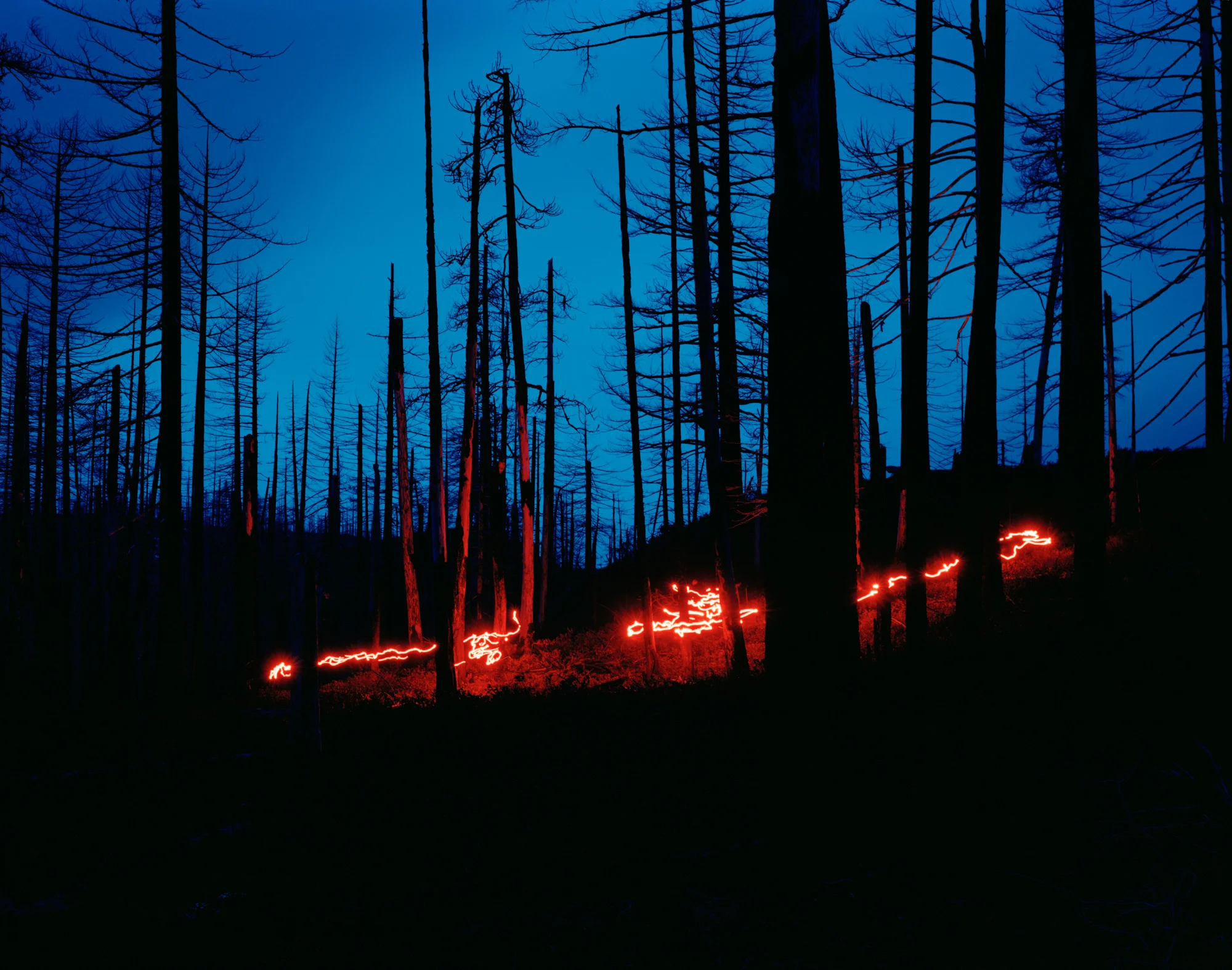 Caldera Refuge, 2010