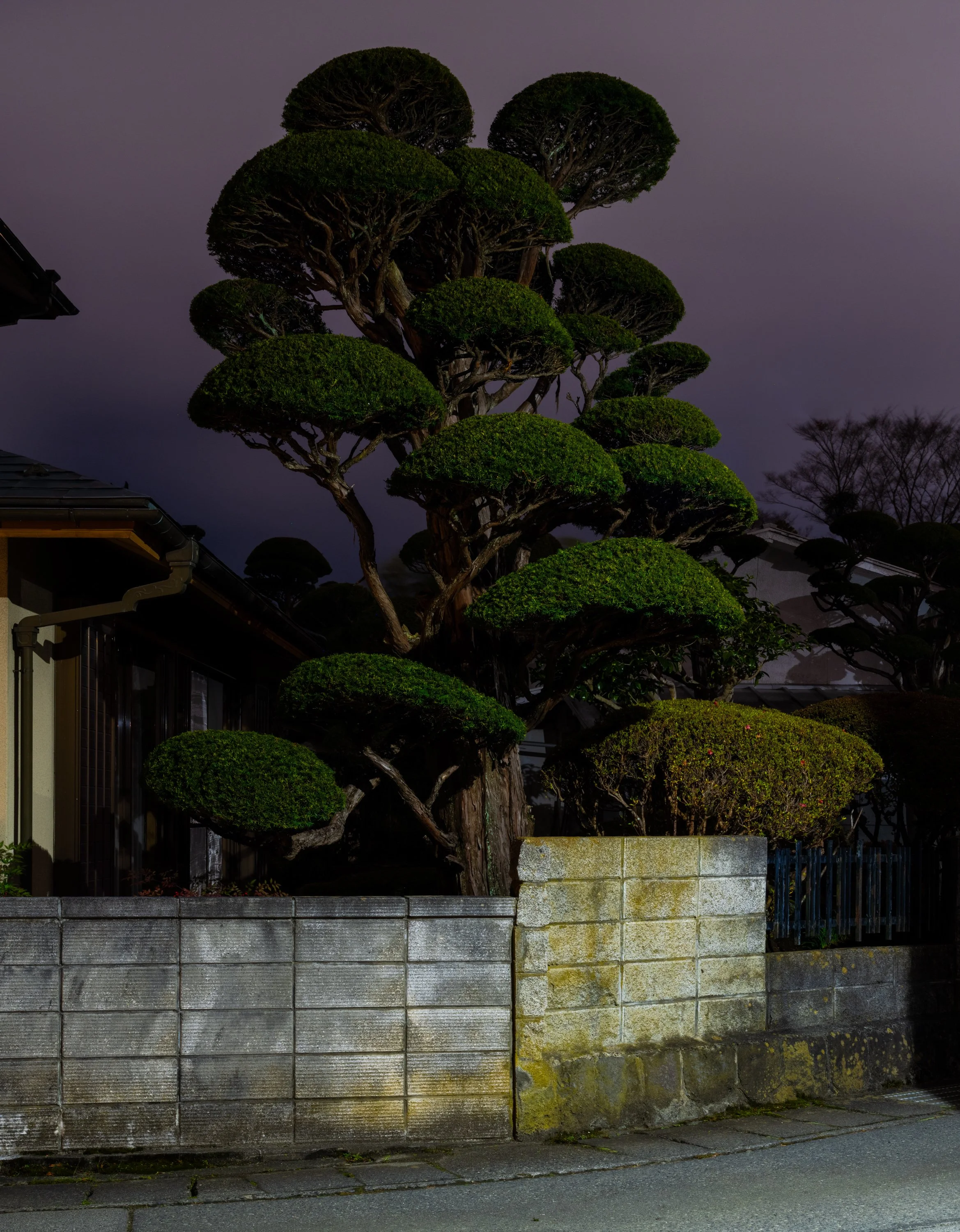 KEVIN_COOLEY_FUJI-1.jpg