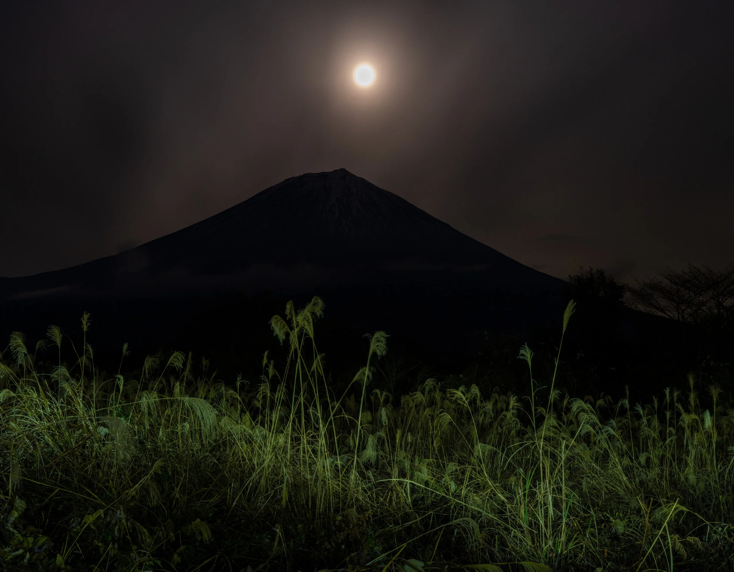 KEVIN_COOLEY_FUJI-12.jpg