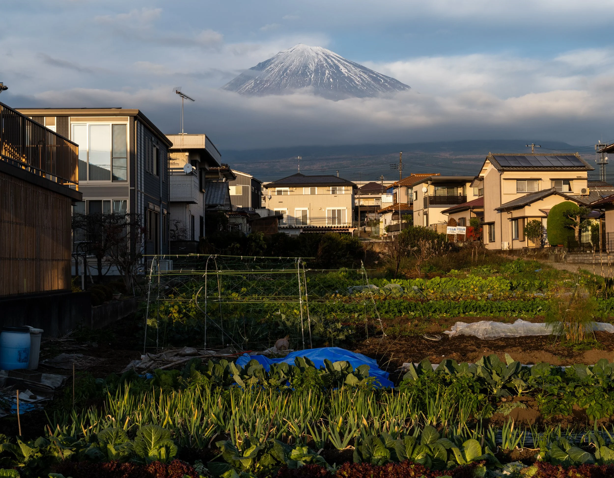 KEVIN_COOLEY_FUJI-25.jpg
