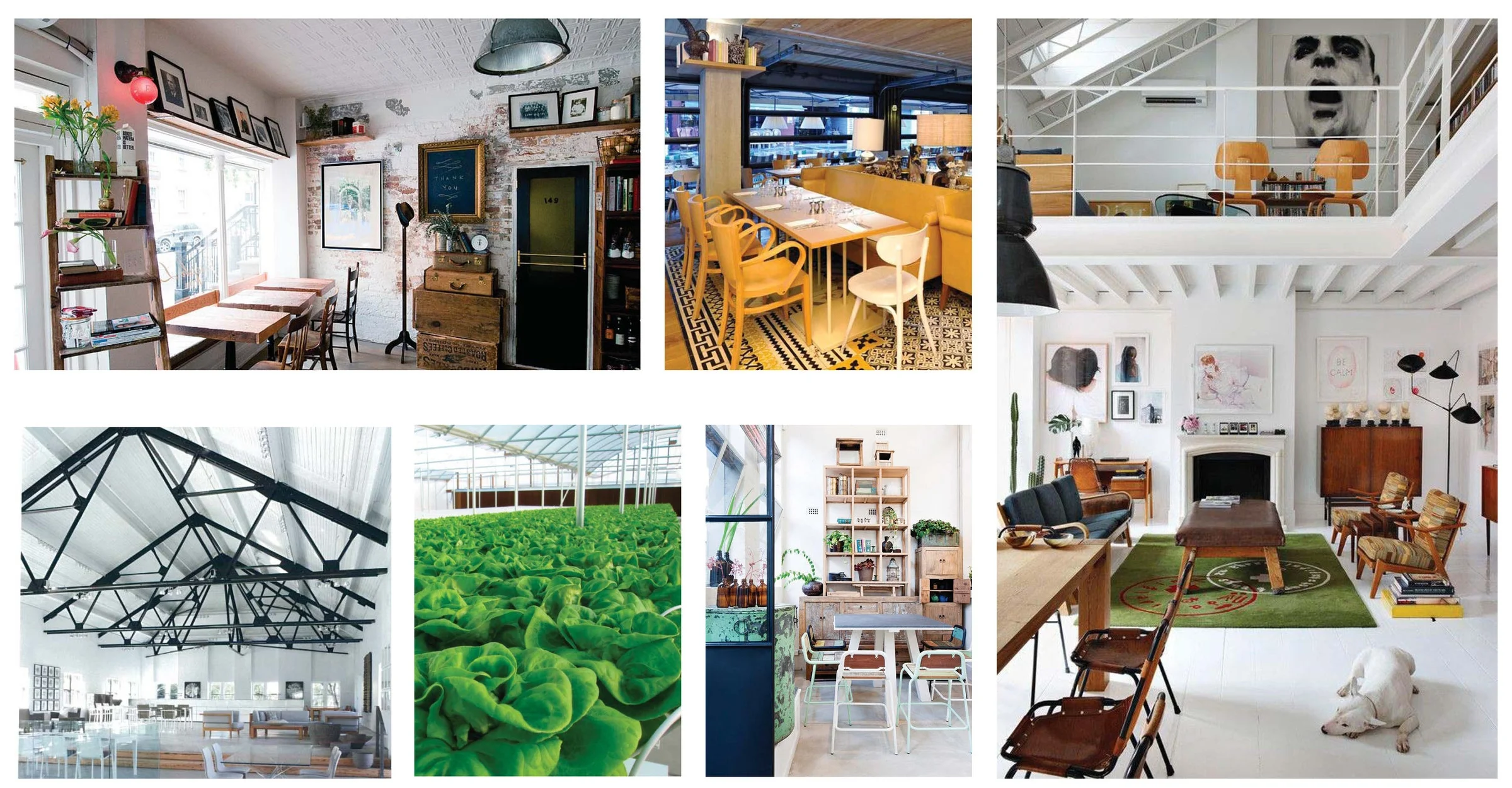 Pages from 2013_1029_DD display_Page_1.jpg