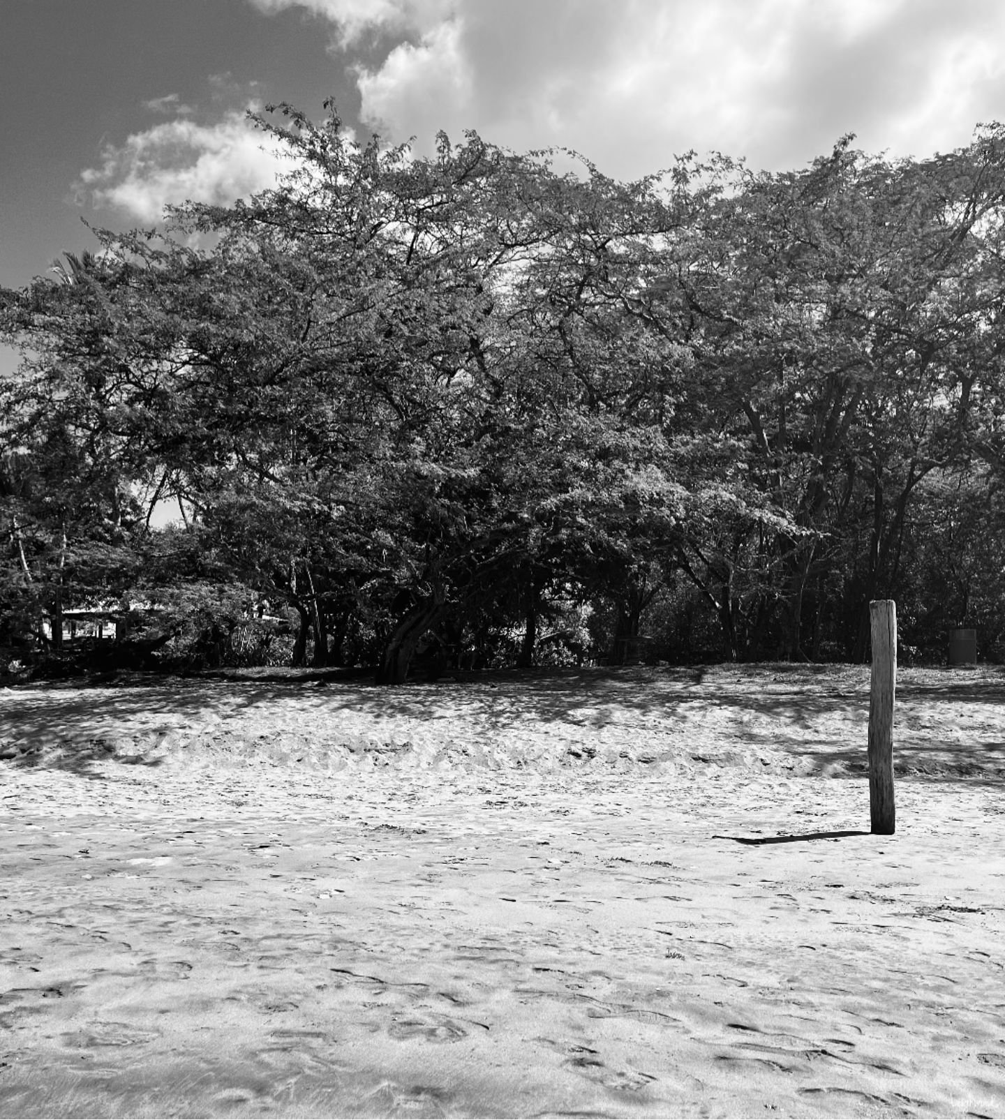 Costa Rica 🇨🇷 #leighwords #travelphotography #guanacastecostarica