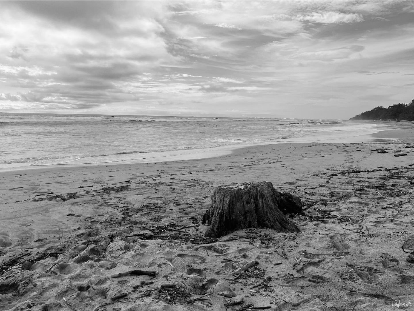Pura Vida 🇨🇷 #leighwords #costaricatravel #travelphotography #costaricatourism