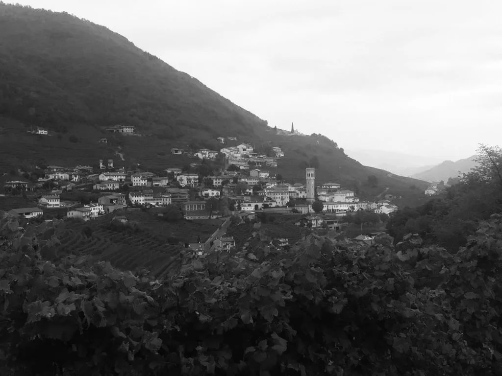 PHOTO-2018-10-06-10-45-55 5.jpg