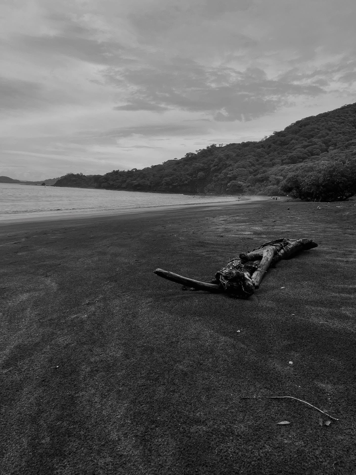 #leighwords #travelart #bnwphoto #bnwphotography #travelphotography #guanacaste #lifeisart