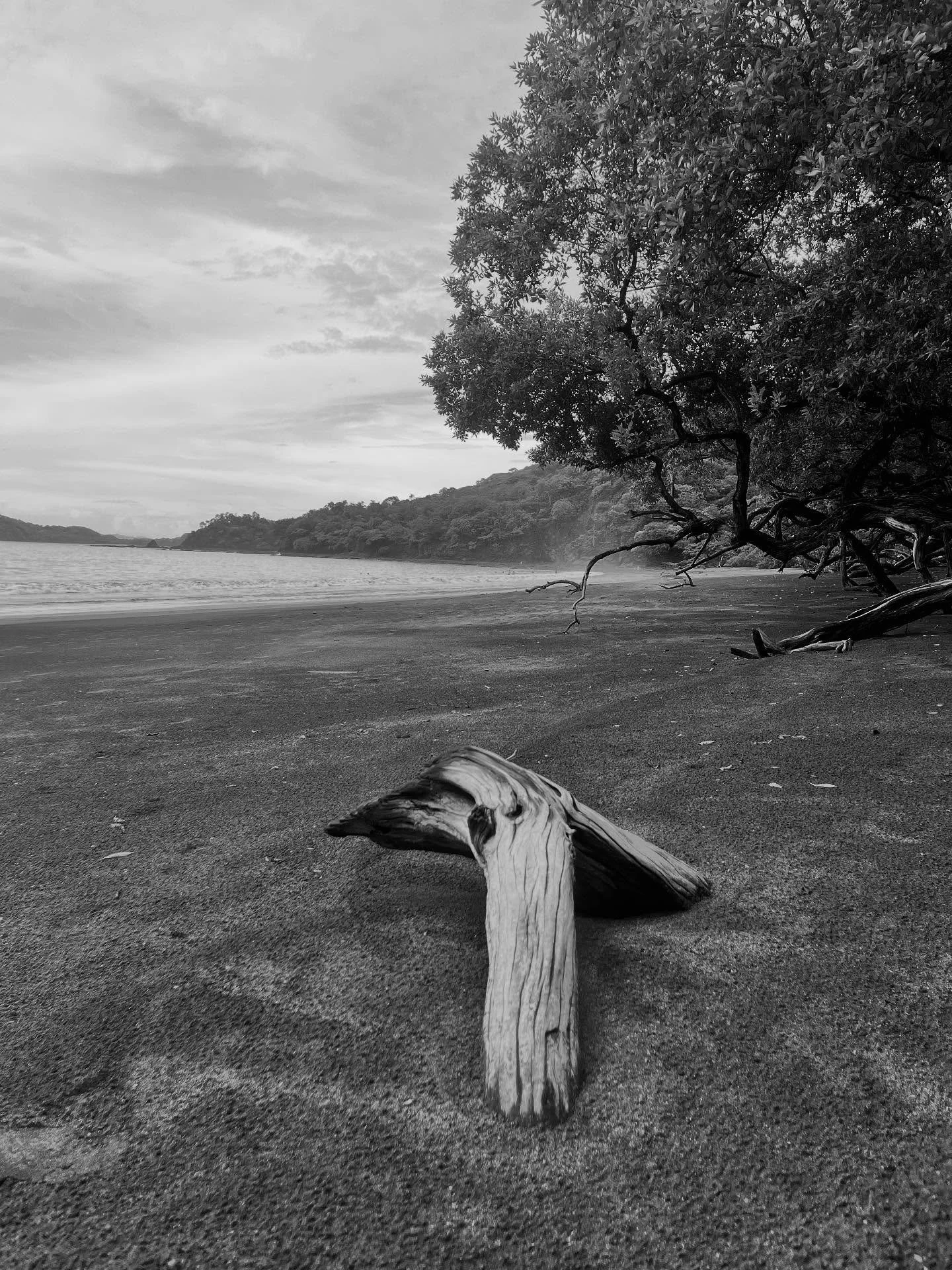 #leighwords #bnwart #costaricatravel #bnwphotography #bnwsouls