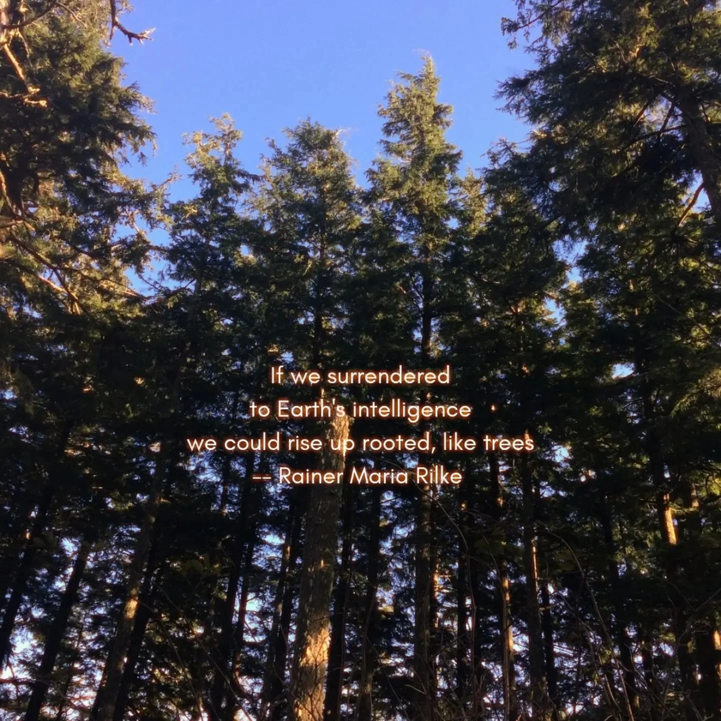 As John O'Donohue reminded me this week, being in nature changes our relationship to time. Nature lets us &quot;receive time&quot;/&quot;In the world of Spirit, time behaves differently&quot;. 

I have also found this to be true in spiritual directio