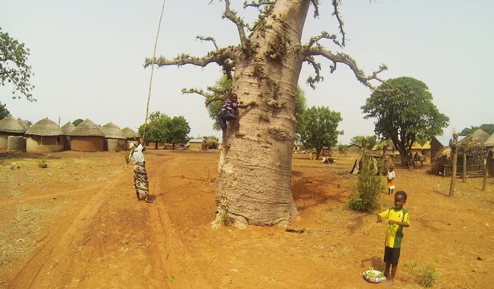 Bognayili, Ghana, Africa