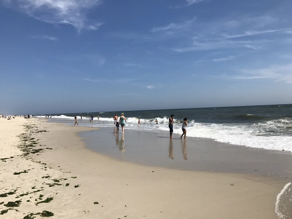 IMG_7004.jpg