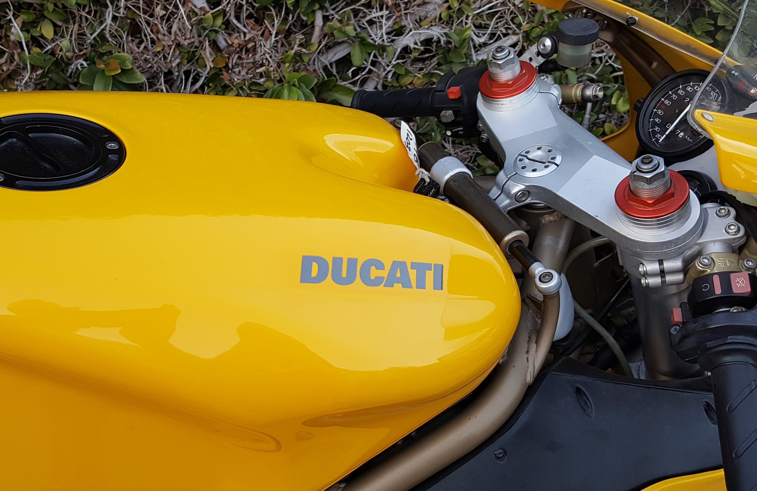 Ducati 748-916 tank side view.jpg