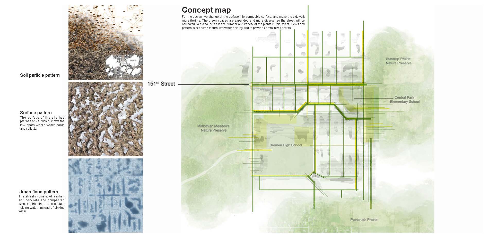 Site Patterns Drive the Design Concept