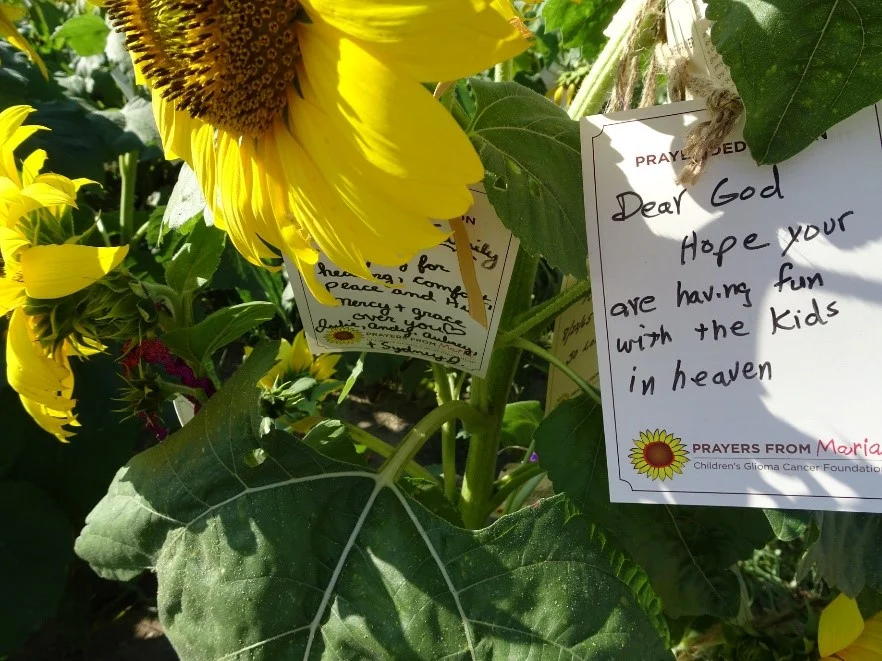 flowers.jpg