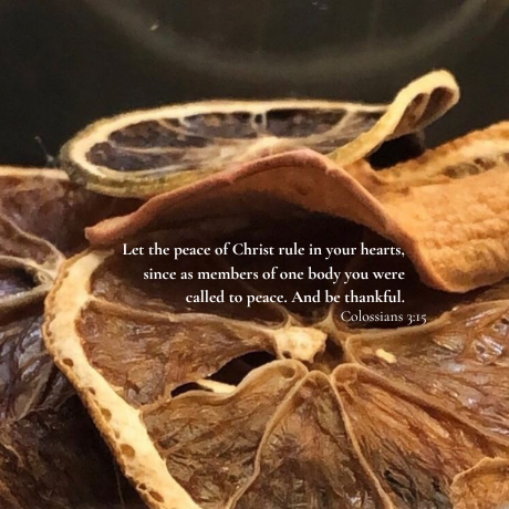 Thanksgiving Central District Of The Christian And Missionary Alliance