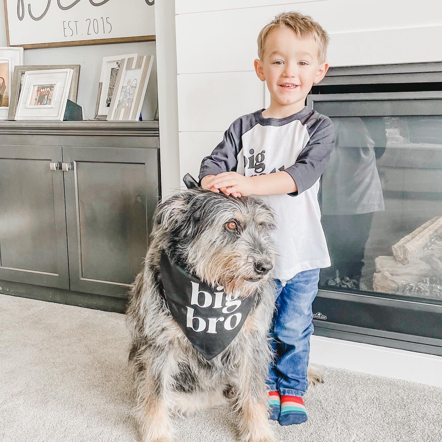 these Bica boys are excited to share that there will be a new member of their crew! baby Bica coming late August. ❤️

#pregnancyannouncement #dogofinstagram #toddlersofinstagram #baby2ontheway #momoftwo #midwestmomma #thisjoyfulmoment #toddlerstyle