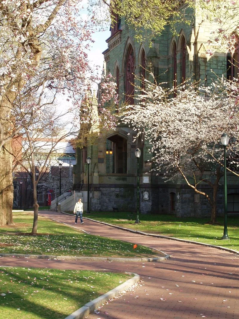 Making the Perfect College Match