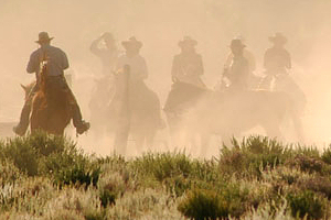 The Work College Alternative