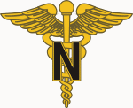 The Nursing (BSN) Major Considered