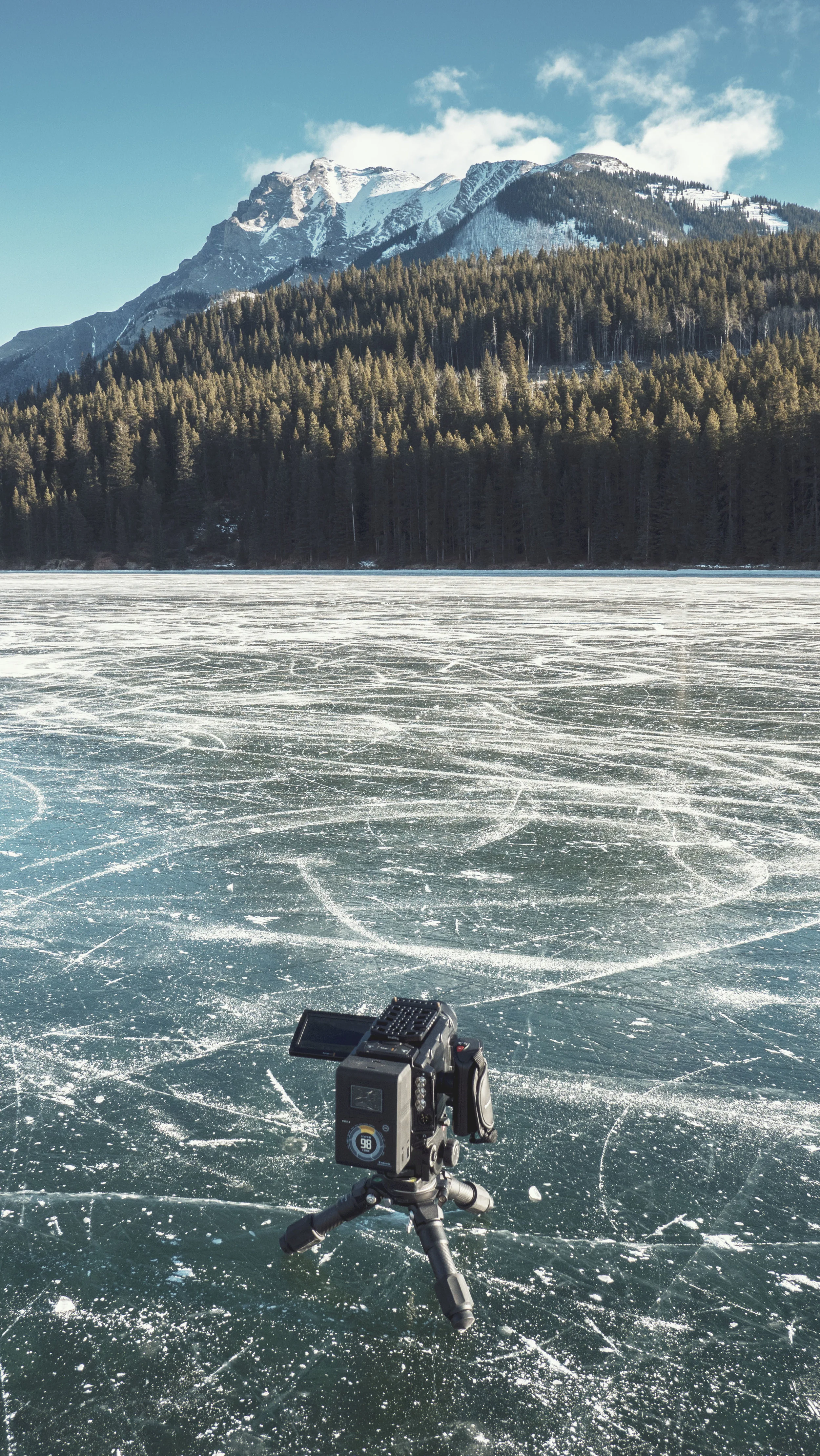 VMC-TaylorHead-Alberta-JackLake2.jpg