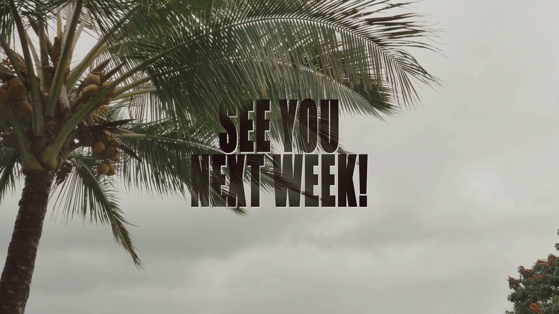 Next-Week-01.jpg