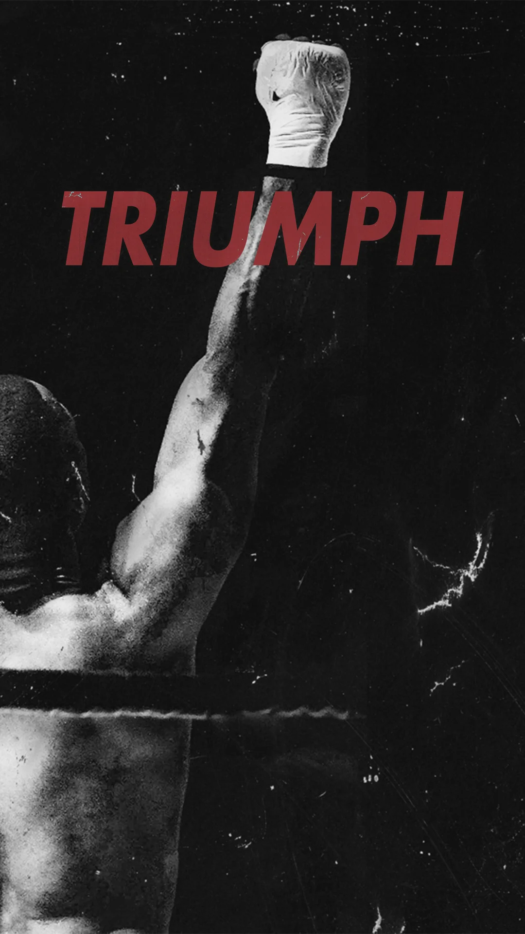 Triumph Camp Stories.jpg