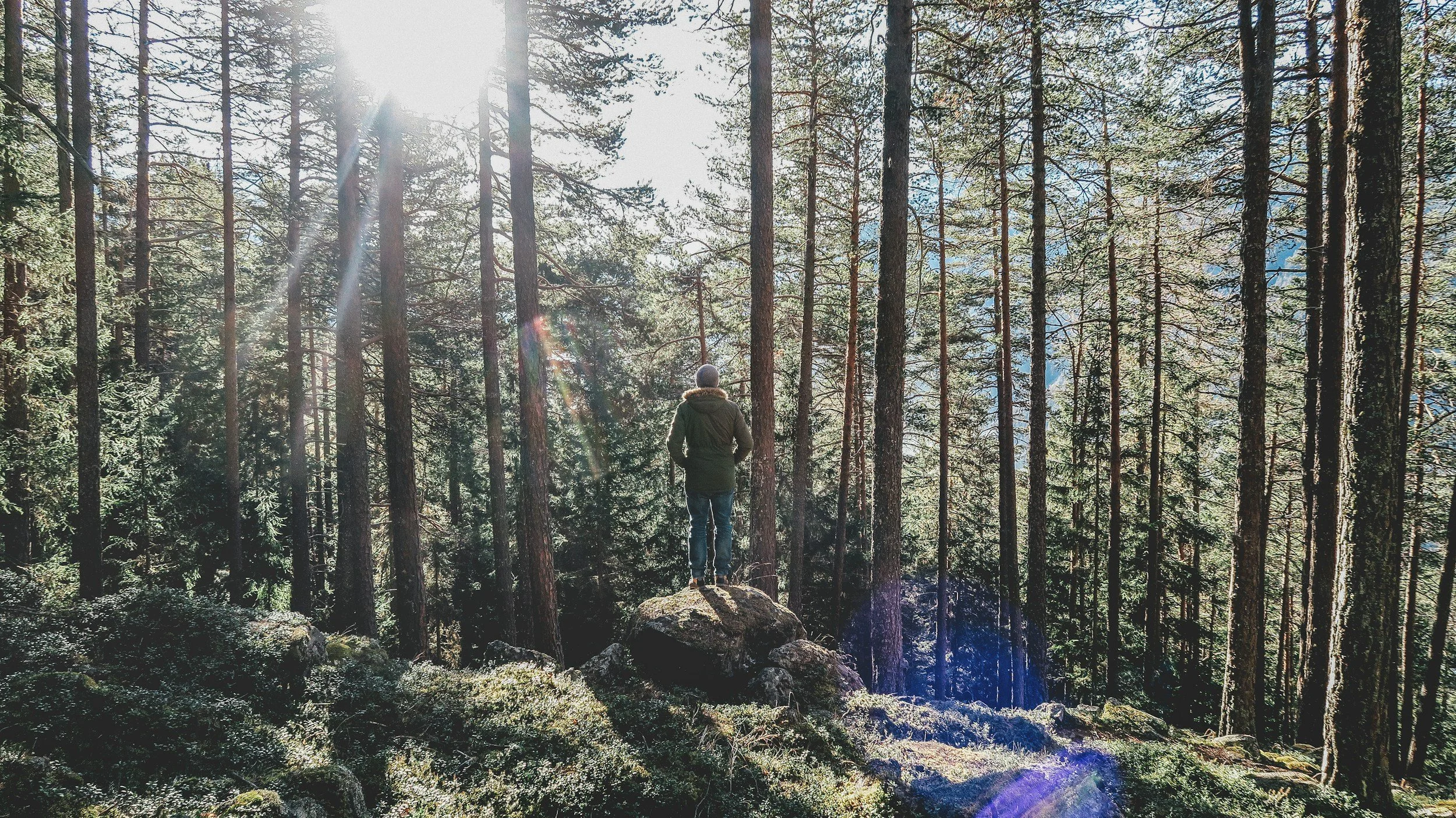 In Defense of Introverts