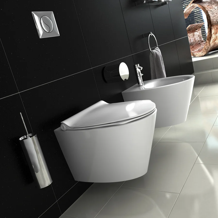 admire porcelain wallhanged wc 3.jpg
