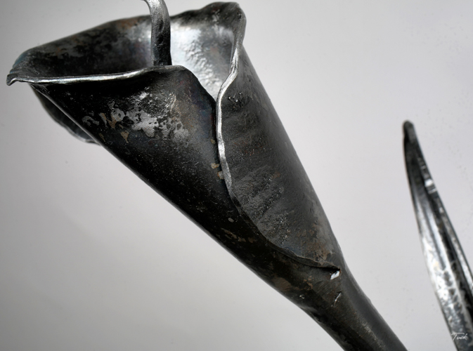 ryantuckblacksmith.calililly.sculpture-7.jpg