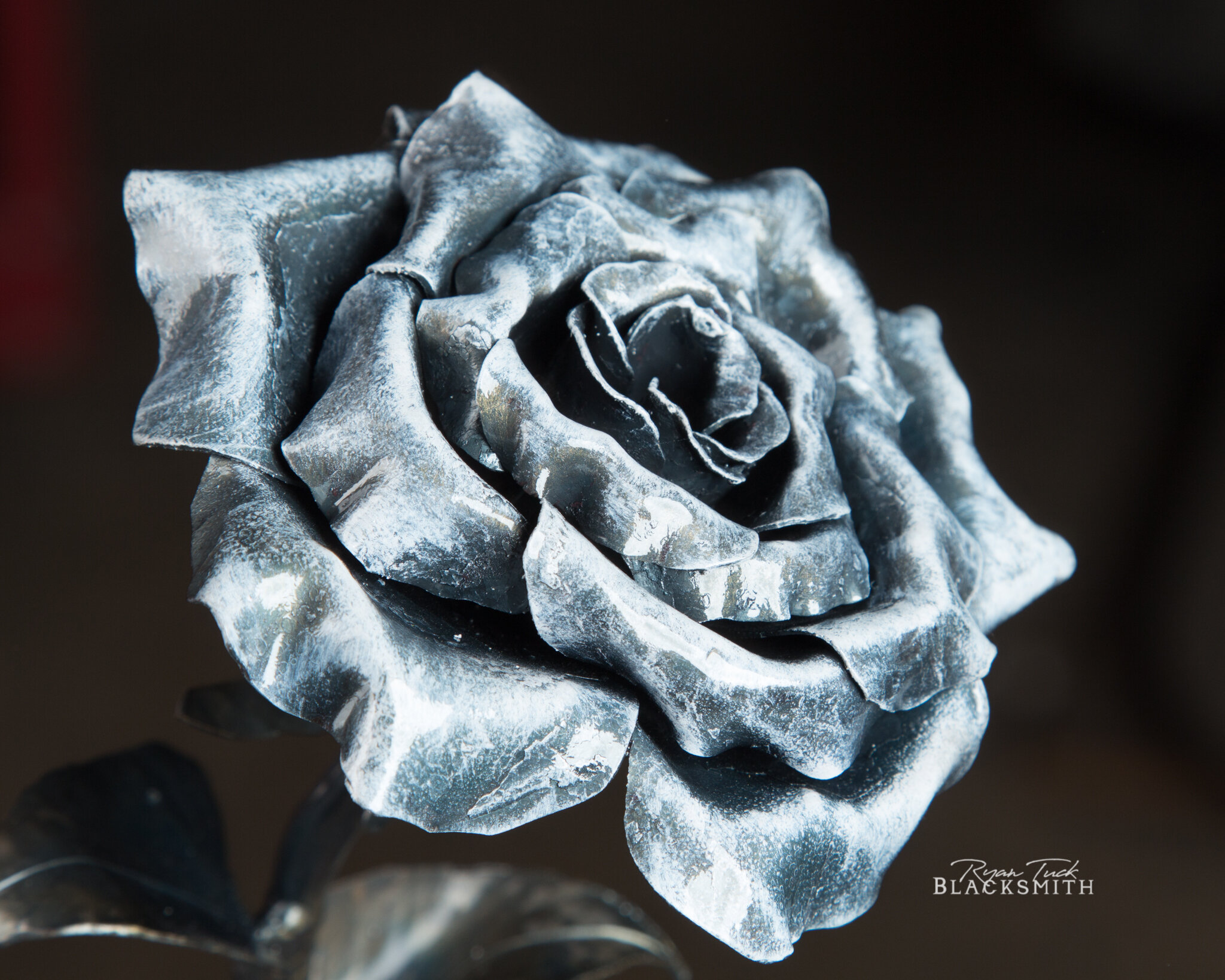 RyanTuckBlacksmithMetalRose-3.JPG