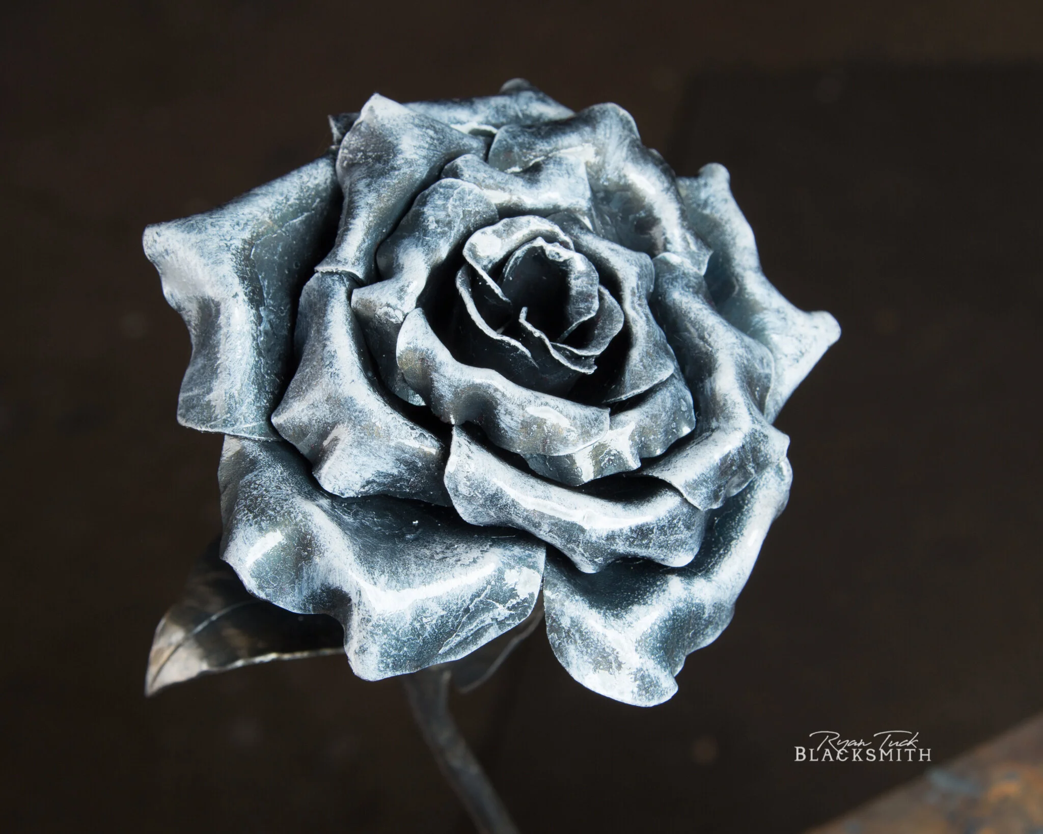 RyanTuckBlacksmithMetalRose-4.JPG