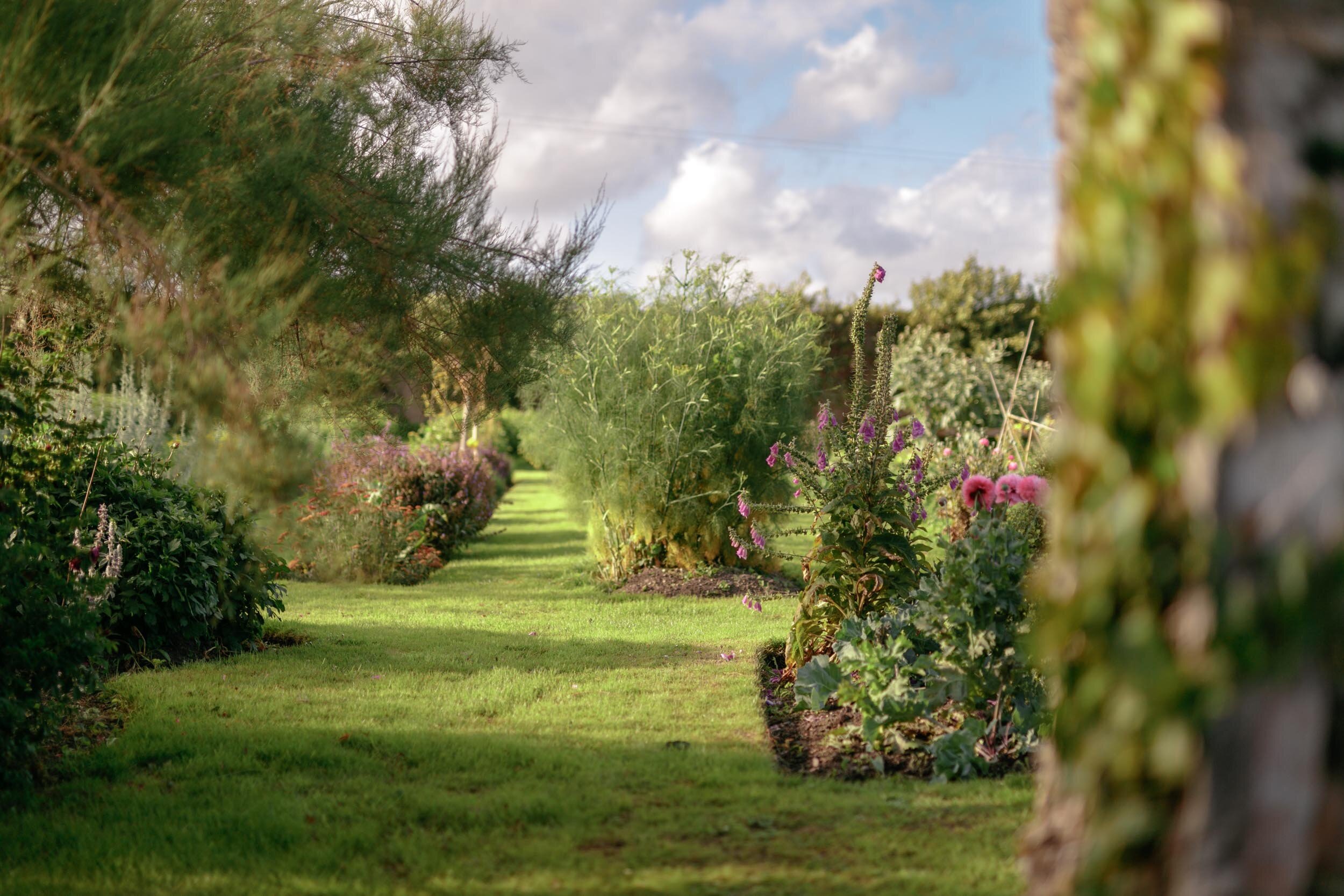  The Walled Garden                                   Shankill Castle, Kilkenny 