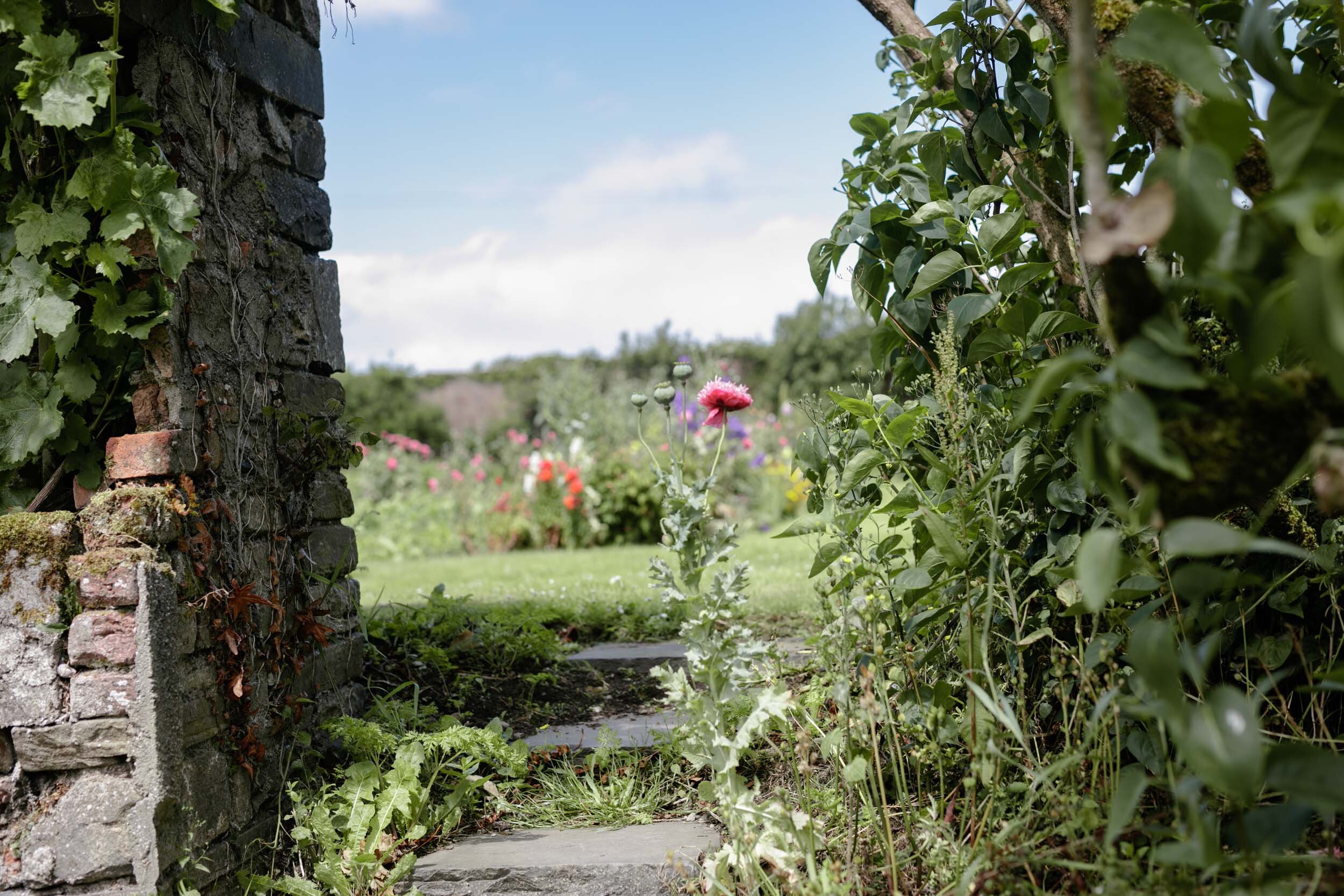  The Walled Garden                                   Shankill Castle, Kilkenny 