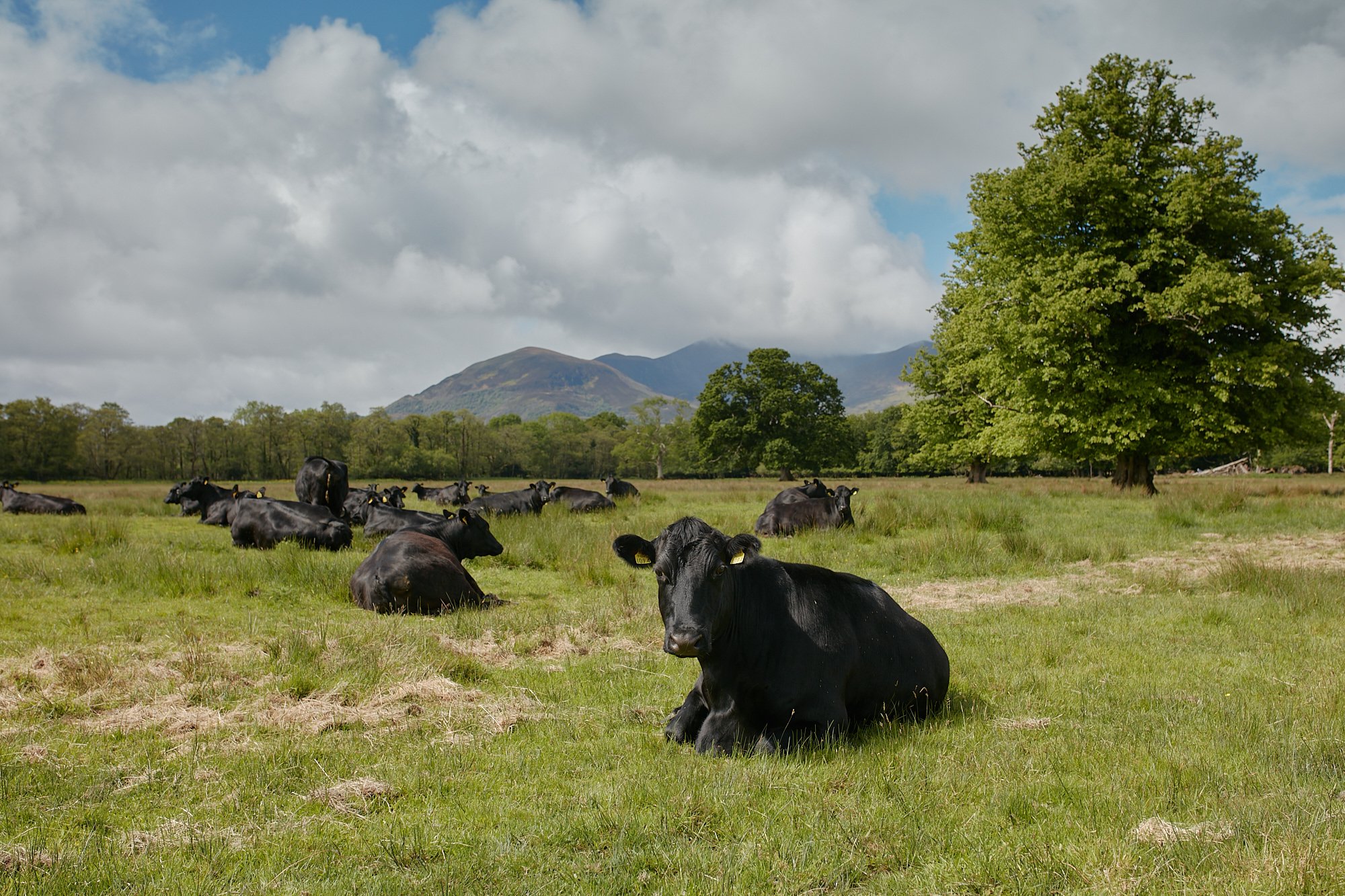  Killarney National Park 